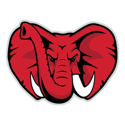 gcss-elephant-head-red-pupils-short-ears-2021-07-09b-FINAL.png