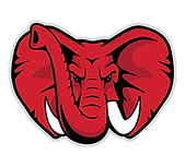 Gainesville High School Football logo